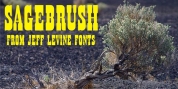 Sagebrush JNL font download