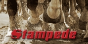 Stampede font download