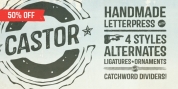 Castor font download