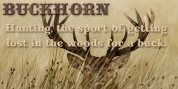 Buckhorn font download