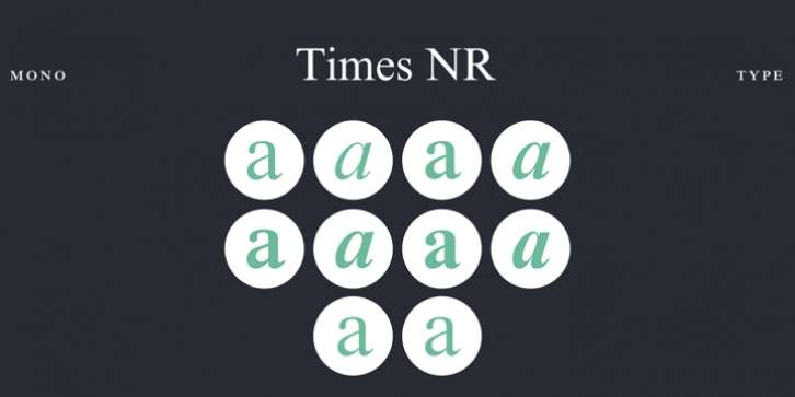 Times New Roman font preview