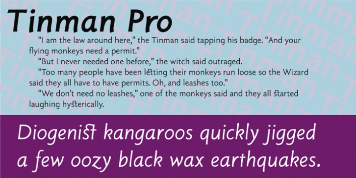 Tinman Pro font preview