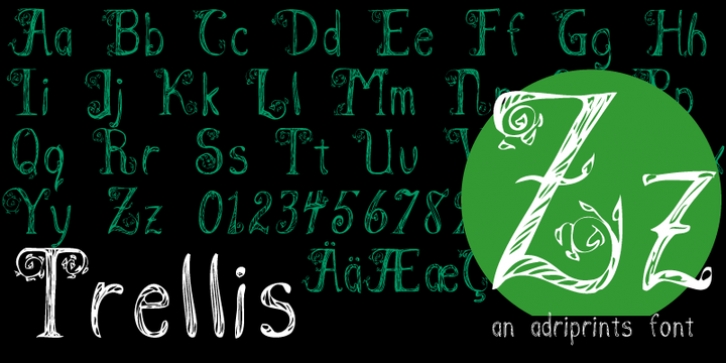 Trellis font preview