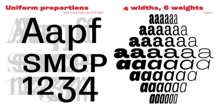 Trivia Grotesk font preview