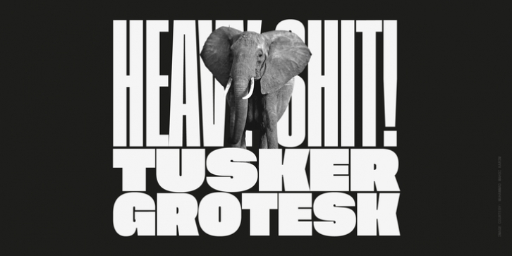 Tusker Grotesk font preview