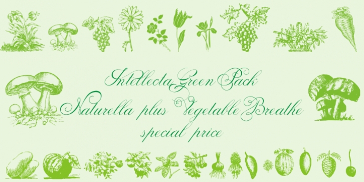 Vegetable Breath font preview