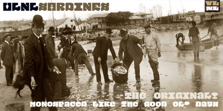 VLNL Sardines font preview