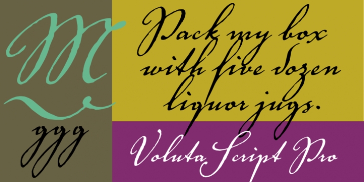 Voluta Script font preview