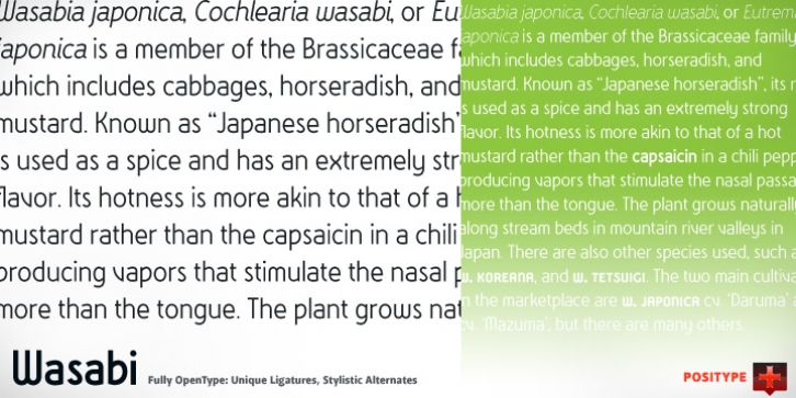 Wasabi font preview