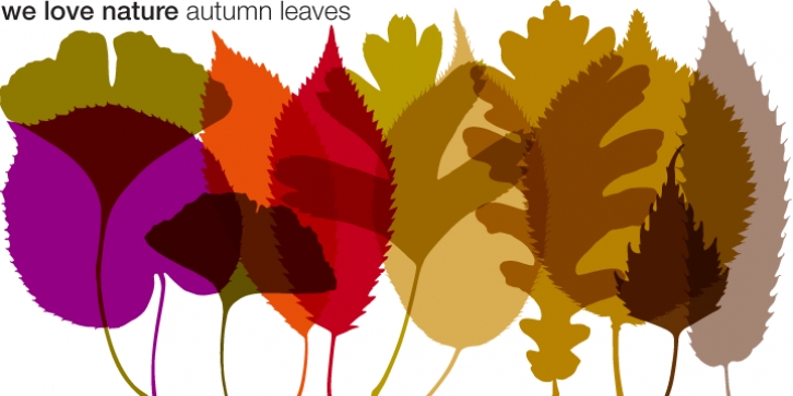 We Love Nature Autumn Leaves font preview