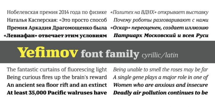 Yefimov Serif font preview