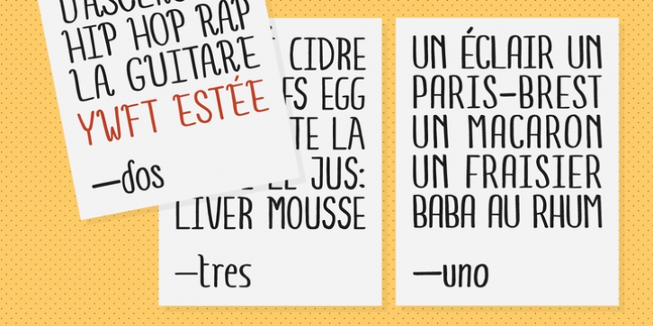 YWFT Estée font preview