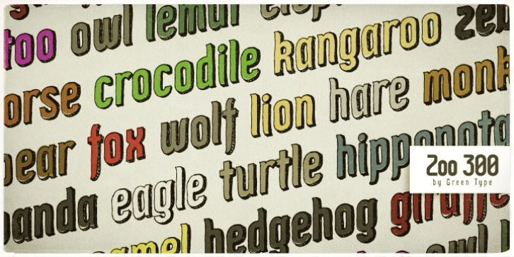 Zoo 300 font preview